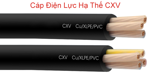 Cáp Điện Lực Hạ Thế CXV