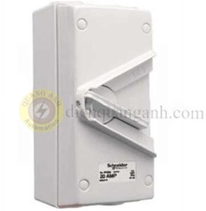 WHD55_GY - Isolator 2P 55A 440V IP66