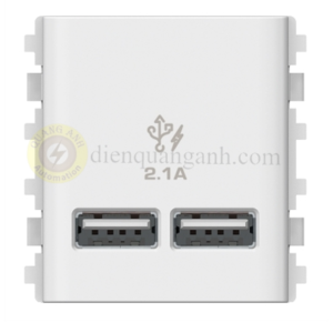 3032USB_WE - 2 cổng sạc USB 2.1A size 2S