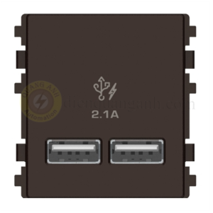 8432USB_BZ - 2 cổng sạc USB 2.1A size 2M màu đồng