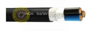 VVCm3x10 - Cáp điện VVCm-3x10 - 0.6/1kV